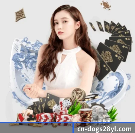 c7c7.app APP 界面（cc7c7.app）
