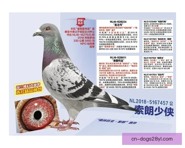 巴萨续约15岁通卡拉16生效