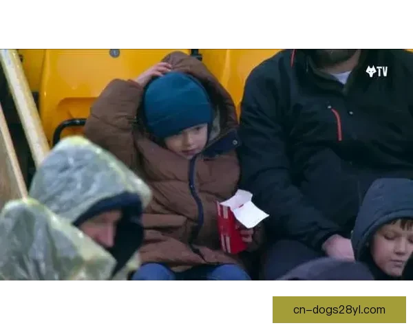 狼队偷鸡后小球迷父亲被叫偷鸡块贼 狼队偷鸡后小球迷父亲被叫偷鸡块贼