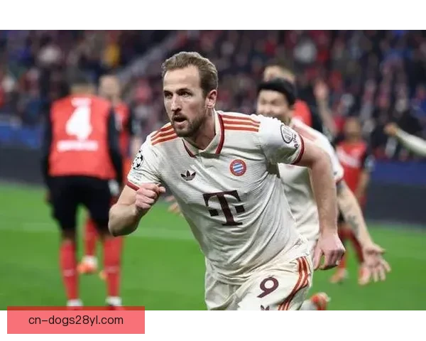 凯恩难破莱万单季41球纪录