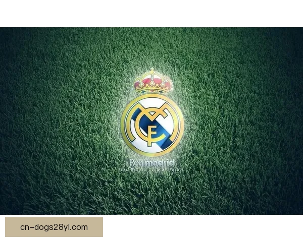 上赛季皇马领跑欧洲门票收入榜