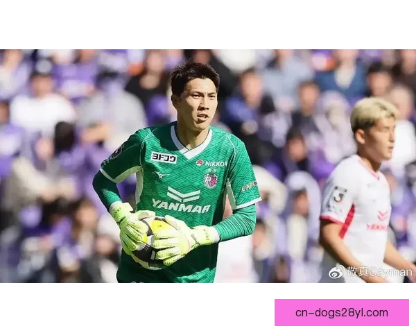 大阪官宣伤情金镇铉特拉维斯 大阪官宣伤情金镇铉特拉维斯