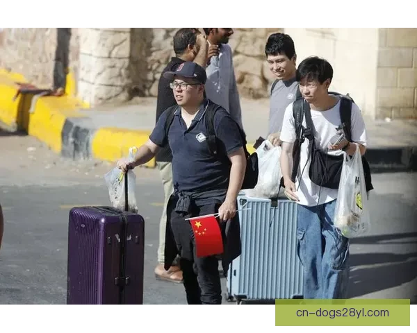 巴西六月六日迎战埃及热身赛前