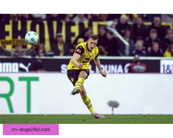 施洛特贝克成多特旗帜人物可期