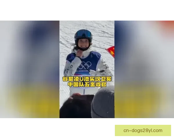 中国队收官揽五金创历史第二