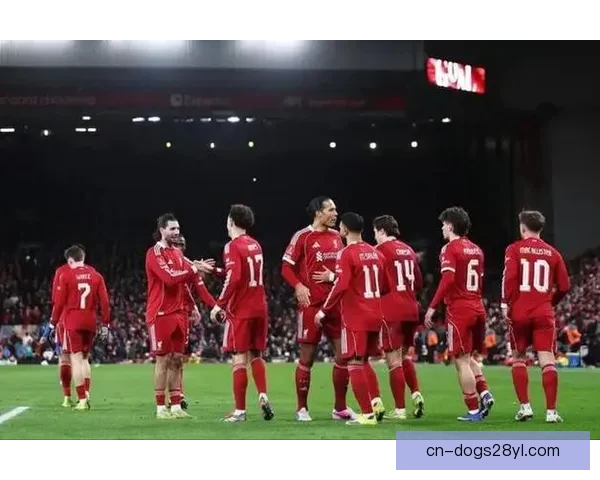 四大英超球队今夏赴美热身赛